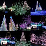 よみうりランド 遊園地に投稿された画像（2021/2/13）