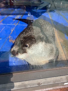 ゼロ距離水族館 伊勢シーパラダイスに投稿された画像（2021/2/13）