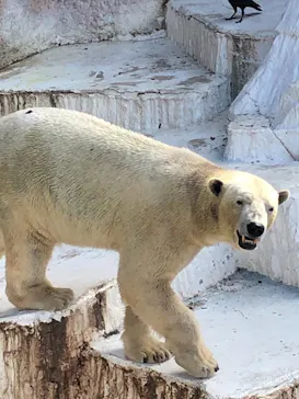 天王寺動物園に投稿された画像（2021/2/13）