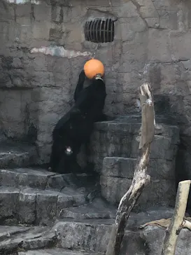 天王寺動物園に投稿された画像（2021/2/13）