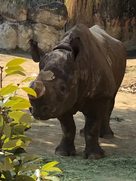 天王寺動物園に投稿された画像（2021/2/13）