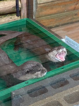 伊豆・三津シーパラダイスに投稿された画像（2021/2/13）