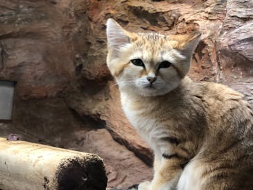 那須どうぶつ王国に投稿された画像（2021/2/13）