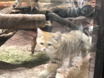 那須どうぶつ王国に投稿された画像（2021/2/13）