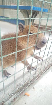 しろとり動物園に投稿された画像（2021/2/13）