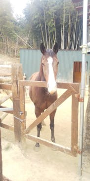 しろとり動物園に投稿された画像（2021/2/13）