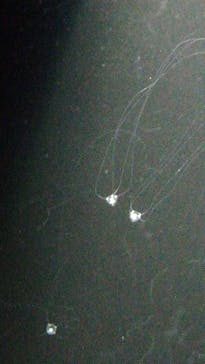 九十九島水族館海きららに投稿された画像（2021/2/13）