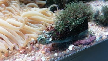 九十九島水族館海きららに投稿された画像（2021/2/13）