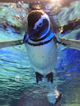 すみだ水族館に投稿された画像（2021/2/13）