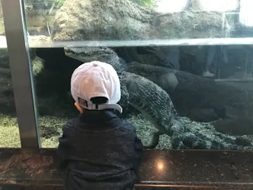 天王寺動物園に投稿された画像（2021/2/13）