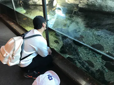 天王寺動物園に投稿された画像（2021/2/13）