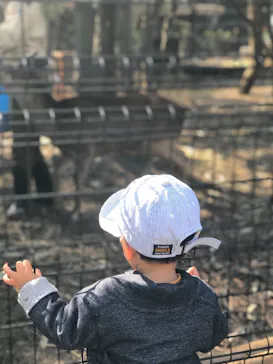 天王寺動物園に投稿された画像（2021/2/13）