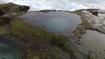 ミッドナイトツアー 奄美に投稿された画像（2021/2/13）