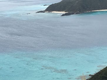 ミッドナイトツアー 奄美に投稿された画像（2021/2/13）