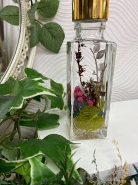 ずこうしつ〜sugamo〜に投稿された画像（2021/2/13）