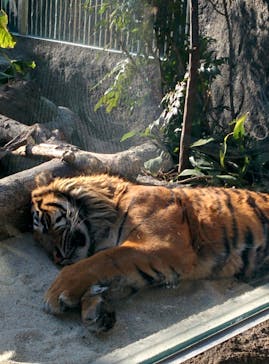 神戸どうぶつ王国に投稿された画像（2021/2/13）