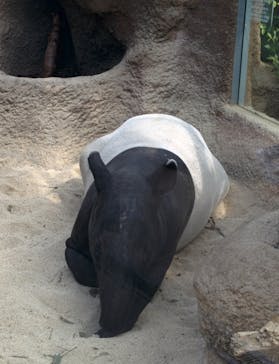 神戸どうぶつ王国に投稿された画像（2021/2/13）