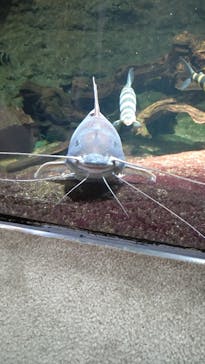 サンシャイン水族館に投稿された画像（2021/2/13）