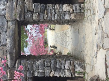 今帰仁城跡に投稿された画像（2021/2/13）