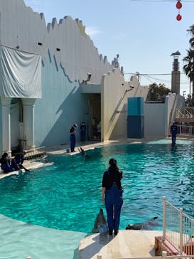 株式会社Gに投稿された画像（2021/2/13）