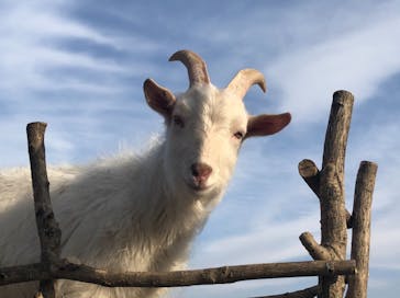 群馬サファリパークに投稿された画像（2021/2/13）