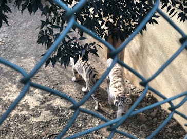 群馬サファリパークに投稿された画像（2021/2/13）