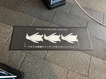 すみだ水族館に投稿された画像（2021/2/14）