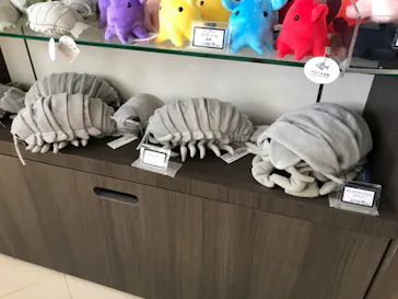 すみだ水族館に投稿された画像（2021/2/14）