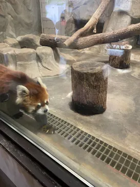 天王寺動物園に投稿された画像（2021/2/14）