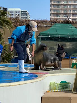 サンシャイン水族館に投稿された画像（2021/2/14）