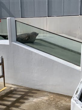 株式会社Gに投稿された画像（2021/2/14）