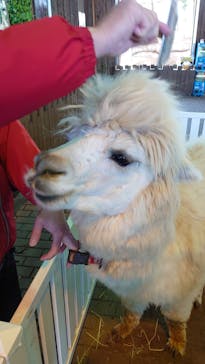 那須どうぶつ王国に投稿された画像（2021/2/14）