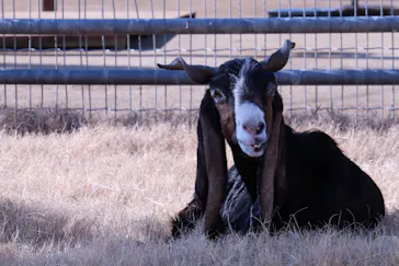 天王寺動物園に投稿された画像（2021/2/14）