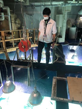 サンシャイン水族館に投稿された画像（2021/2/14）