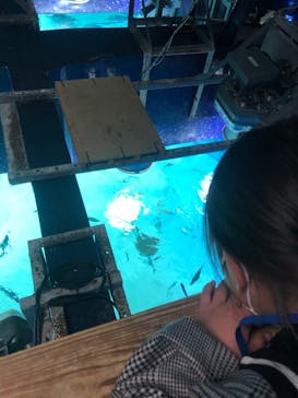 サンシャイン水族館に投稿された画像（2021/2/14）