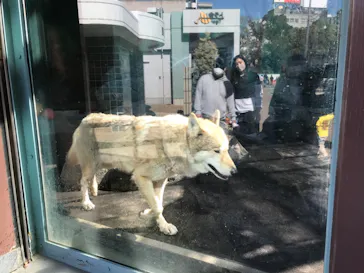 天王寺動物園に投稿された画像（2021/2/14）