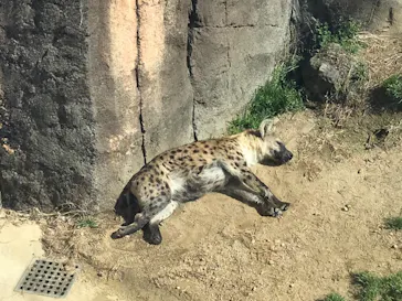 天王寺動物園に投稿された画像（2021/2/14）