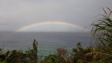 マングローブ茶屋に投稿された画像（2021/2/14）