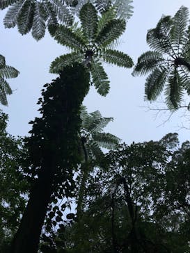 マングローブ茶屋に投稿された画像（2021/2/14）