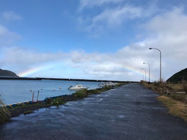 マングローブ茶屋に投稿された画像（2021/2/14）