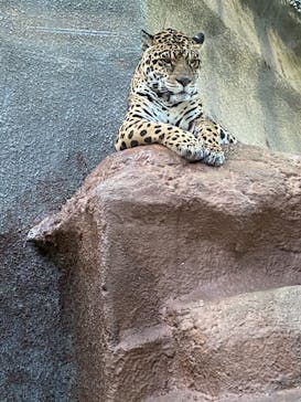 那須どうぶつ王国に投稿された画像（2021/2/14）