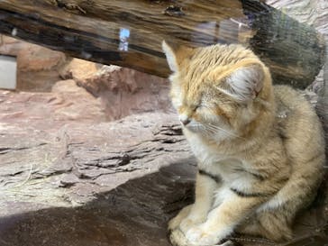 那須どうぶつ王国に投稿された画像（2021/2/14）