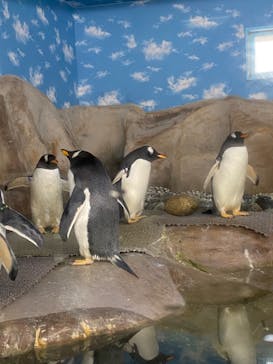 那須どうぶつ王国に投稿された画像（2021/2/14）