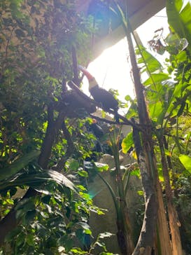 那須どうぶつ王国に投稿された画像（2021/2/14）