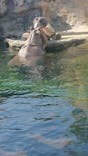 天王寺動物園に投稿された画像（2021/2/14）