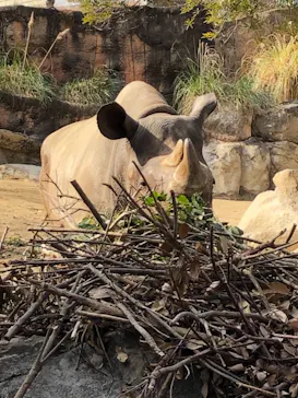 天王寺動物園に投稿された画像（2021/2/14）