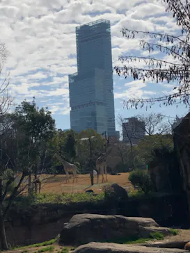 天王寺動物園に投稿された画像（2021/2/14）