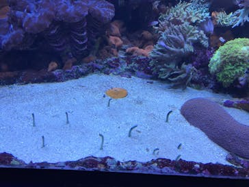 サンシャイン水族館に投稿された画像（2021/2/14）