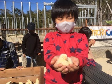 しろとり動物園に投稿された画像（2021/2/14）