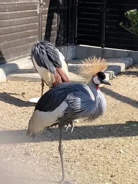 天王寺動物園に投稿された画像（2021/2/14）
